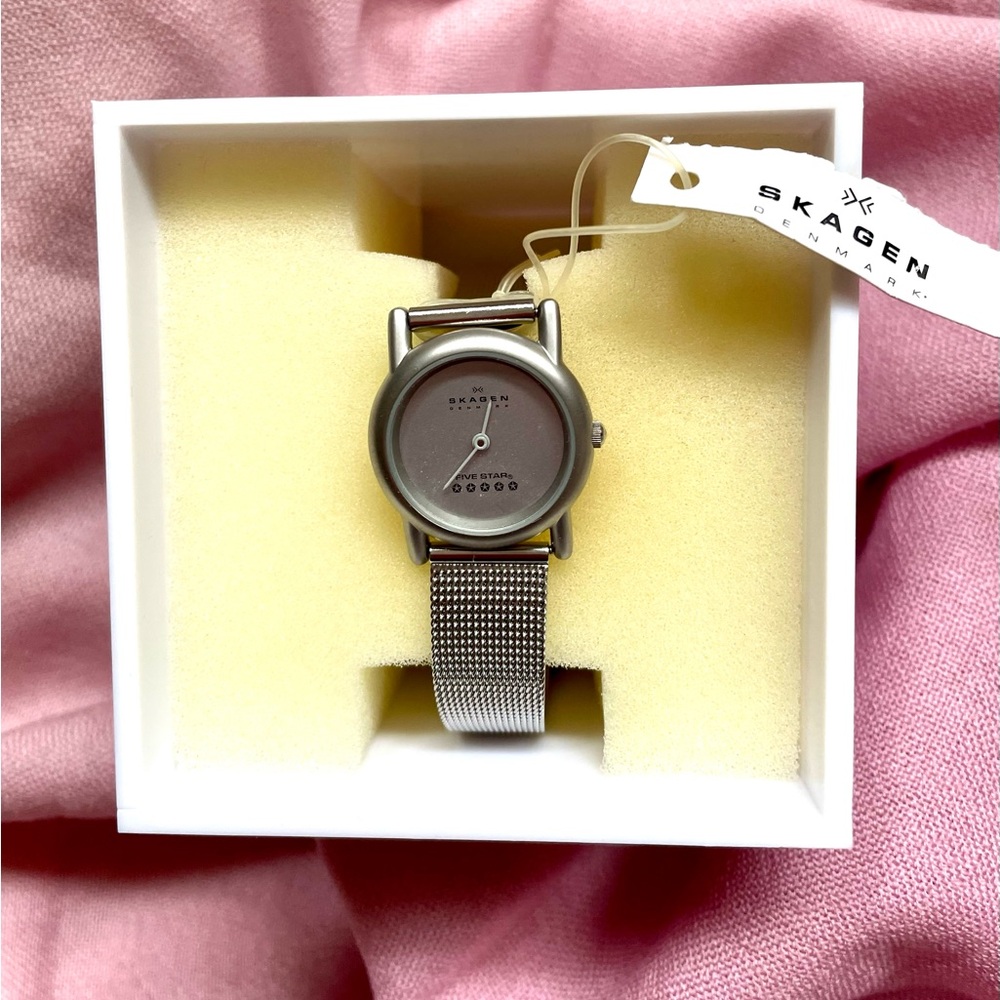 ⌚✨ Vintage Skagen Denmark Five Star Mesh Watch – Minimalist Scandinavian Style